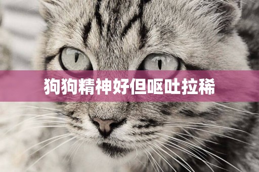 狗狗精神好但嘔吐拉稀