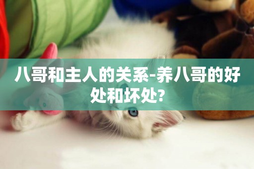 八哥和主人的關系-養八哥的好處和壞處?