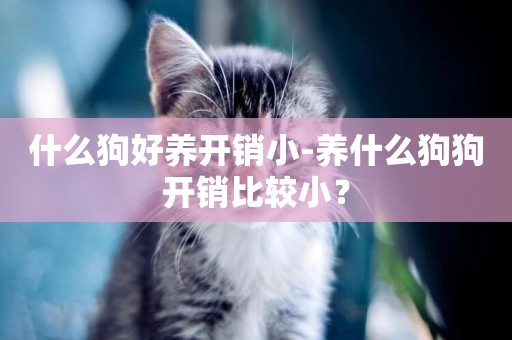 什么狗好養開銷小-養什么狗狗開銷比較小？