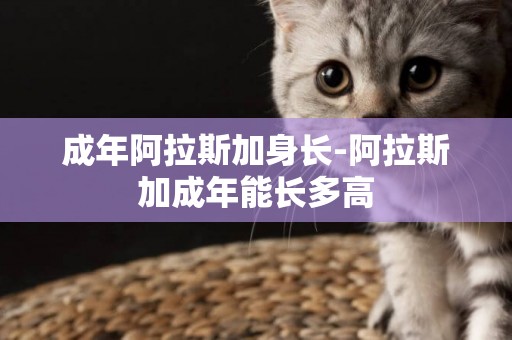 成年阿拉斯加身長-阿拉斯加成年能長多高