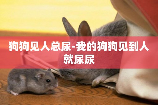 狗狗見人總尿-我的狗狗見到人就尿尿