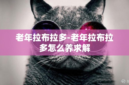 老年拉布拉多-老年拉布拉多怎么養求解