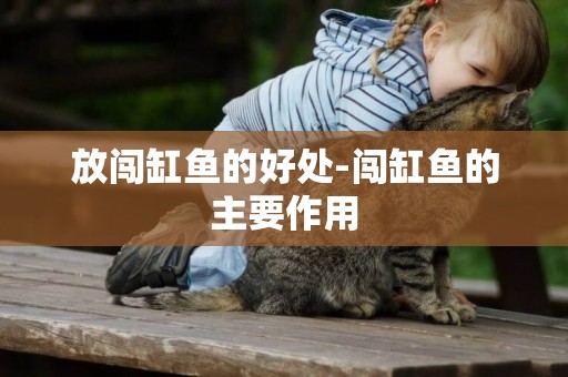 放闖缸魚的好處-闖缸魚的主要作用