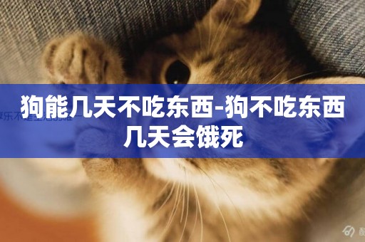 狗能幾天不吃東西-狗不吃東西幾天會餓死