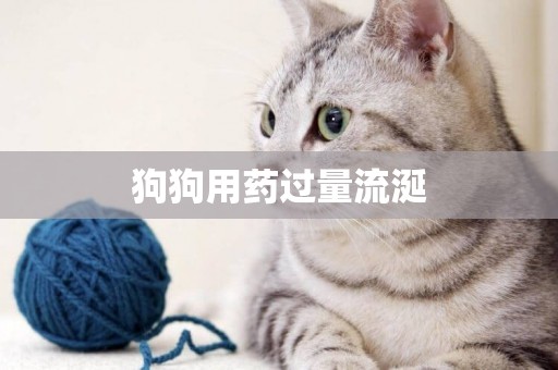 狗狗用藥過量流涎