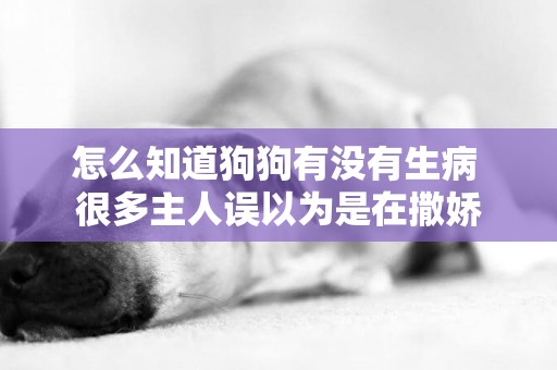 怎么知道狗狗有沒有生病 很多主人誤以為是在撒嬌