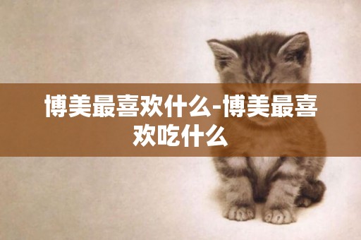 博美最喜歡什么-博美最喜歡吃什么