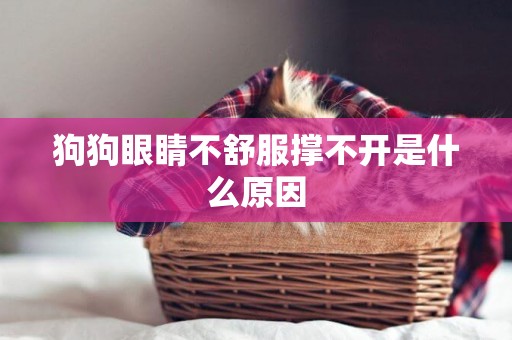 狗狗眼睛不舒服撐不開是什么原因