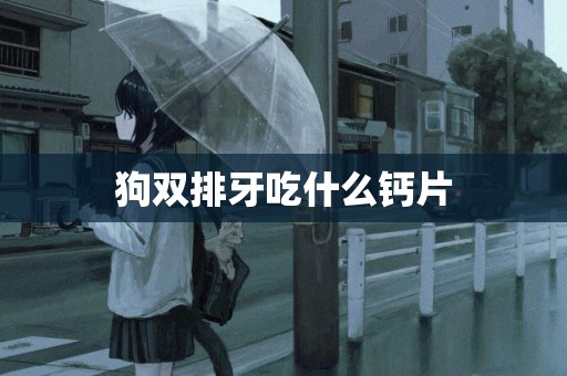 狗雙排牙吃什么鈣片
