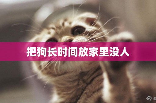 把狗長時間放家里沒人