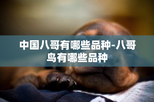中國八哥有哪些品種-八哥鳥有哪些品種