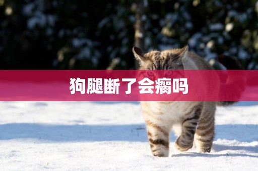 狗腿斷了會瘸嗎