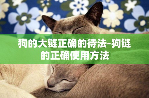 狗的大鏈正確的待法-狗鏈的正確使用方法