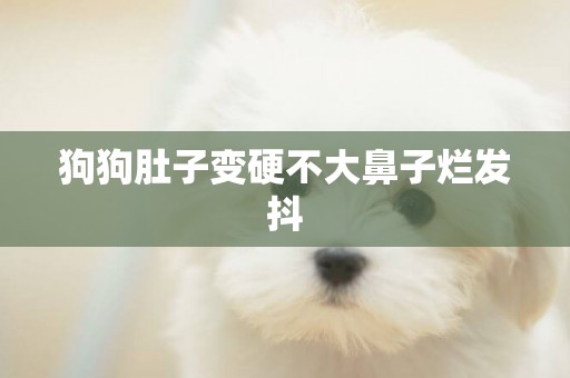 狗狗肚子變硬不大鼻子爛發抖