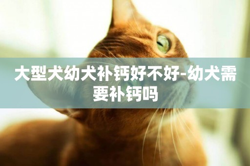 大型犬幼犬補鈣好不好-幼犬需要補鈣嗎