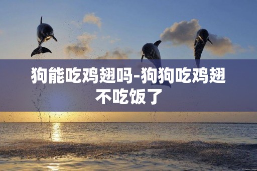 狗能吃雞翅嗎-狗狗吃雞翅不吃飯了