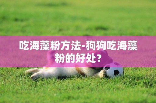 吃海藻粉方法-狗狗吃海藻粉的好處？
