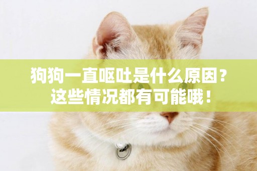 狗狗一直嘔吐是什么原因？ 這些情況都有可能哦！