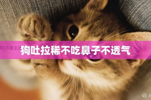 狗吐拉稀不吃鼻子不透氣