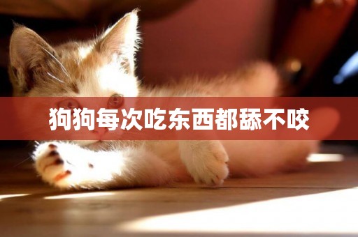 狗狗每次吃東西都舔不咬