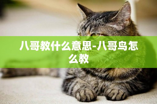 八哥教什么意思-八哥鳥怎么教