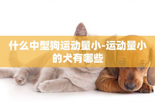 什么中型狗運動量小-運動量小的犬有哪些