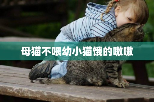 母貓不喂幼小貓餓的嗷嗷