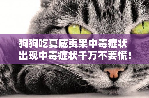 狗狗吃夏威夷果中毒癥狀 出現中毒癥狀千萬不要慌！