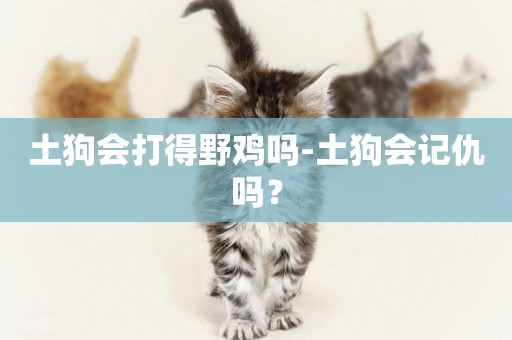 土狗會打得野雞嗎-土狗會記仇嗎？