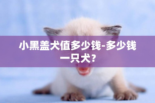 小黑蓋犬值多少錢-多少錢一只犬？