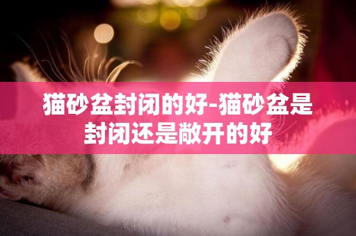 貓砂盆封閉的好-貓砂盆是封閉還是敞開的好