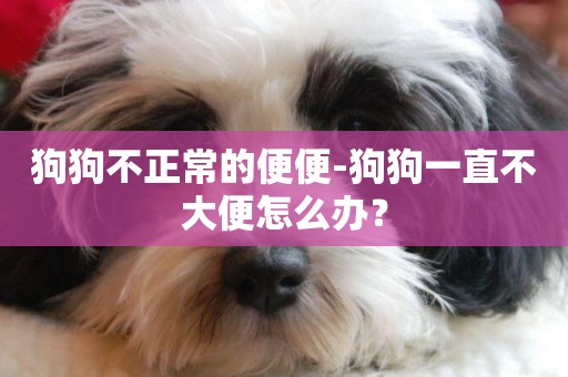 狗狗不正常的便便-狗狗一直不大便怎么辦？