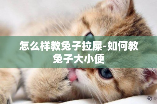怎么樣教兔子拉屎-如何教兔子大小便