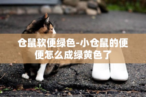 倉鼠軟便綠色-小倉鼠的便便怎么成綠黃色了