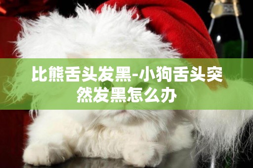 比熊舌頭發黑-小狗舌頭突然發黑怎么辦