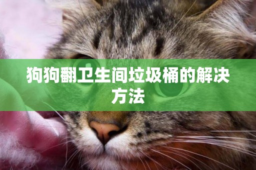 狗狗翻衛生間垃圾桶的解決方法