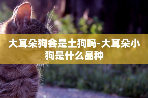 大耳朵狗會是土狗嗎-大耳朵小狗是什么品種