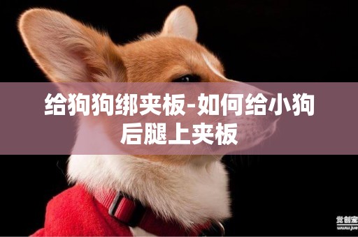 給狗狗綁夾板-如何給小狗后腿上夾板