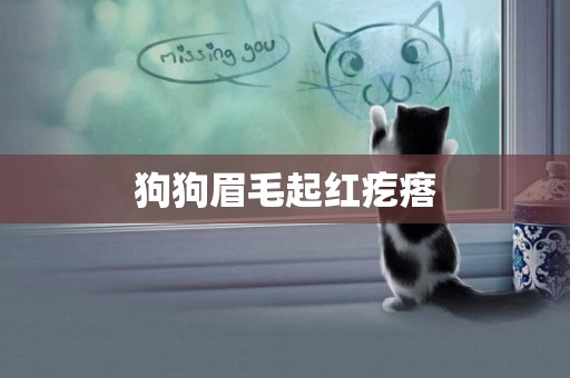 狗狗眉毛起紅疙瘩