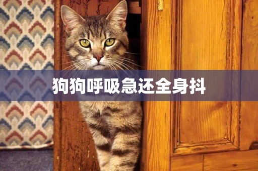 狗狗呼吸急還全身抖
