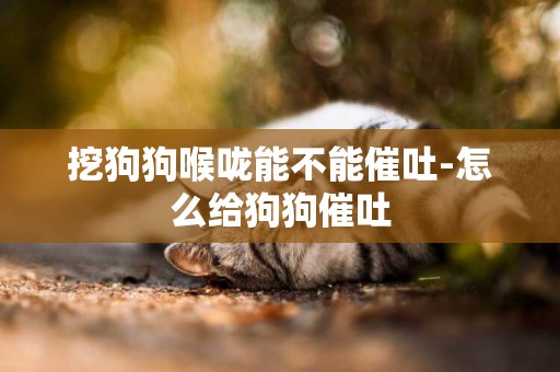 挖狗狗喉嚨能不能催吐-怎么給狗狗催吐