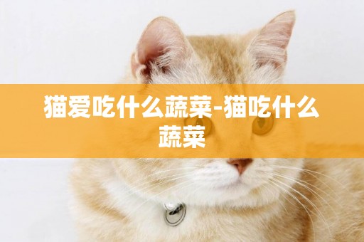 貓愛吃什么蔬菜-貓吃什么蔬菜