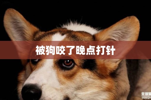 被狗咬了晚點打針