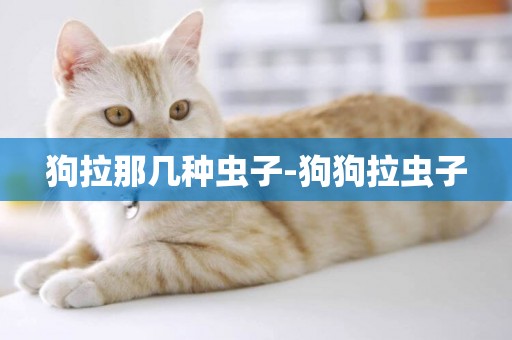 狗拉那幾種蟲子-狗狗拉蟲子