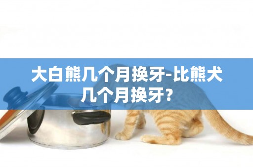大白熊幾個月換牙-比熊犬幾個月換牙？