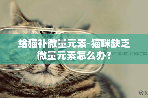 給貓補微量元素-貓咪缺乏微量元素怎么辦？