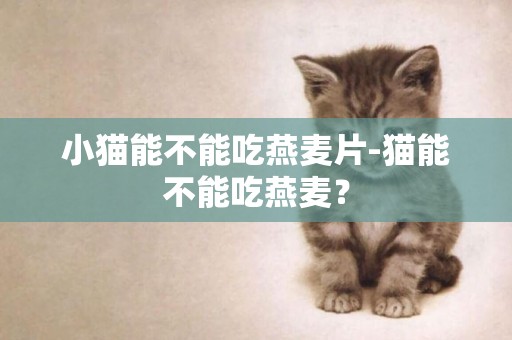 小貓能不能吃燕麥片-貓能不能吃燕麥？