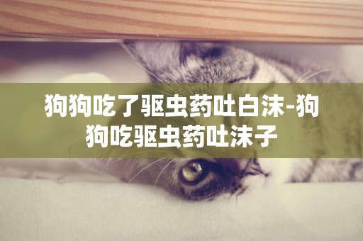 狗狗吃了驅蟲藥吐白沫-狗狗吃驅蟲藥吐沫子