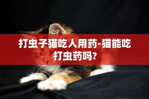 打蟲子貓吃人用藥-貓能吃打蟲藥嗎?
