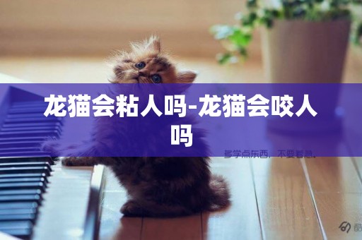 龍貓會粘人嗎-龍貓會咬人嗎
